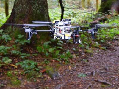 faq 15 Il drone all'interno di un Bosco